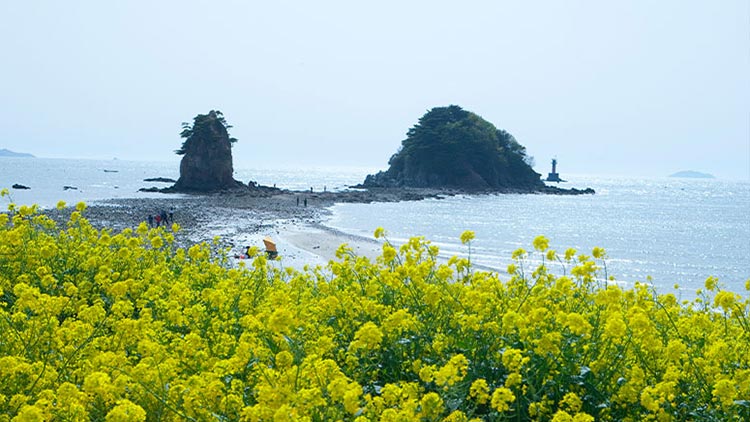 꽃지해수욕장
