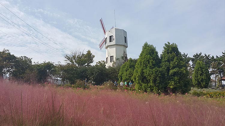 팜카밀레농원